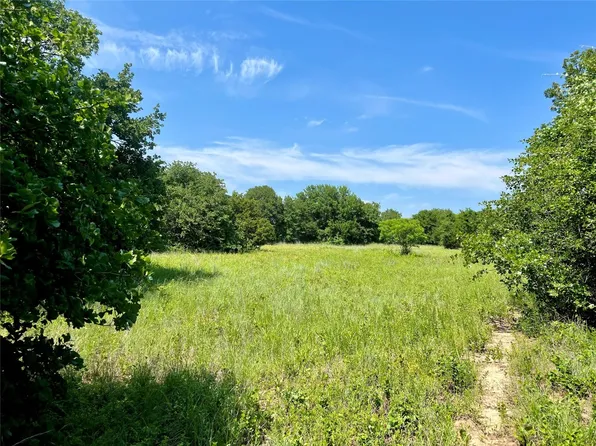 1033 Leo Ln, Poolville, TX 76487