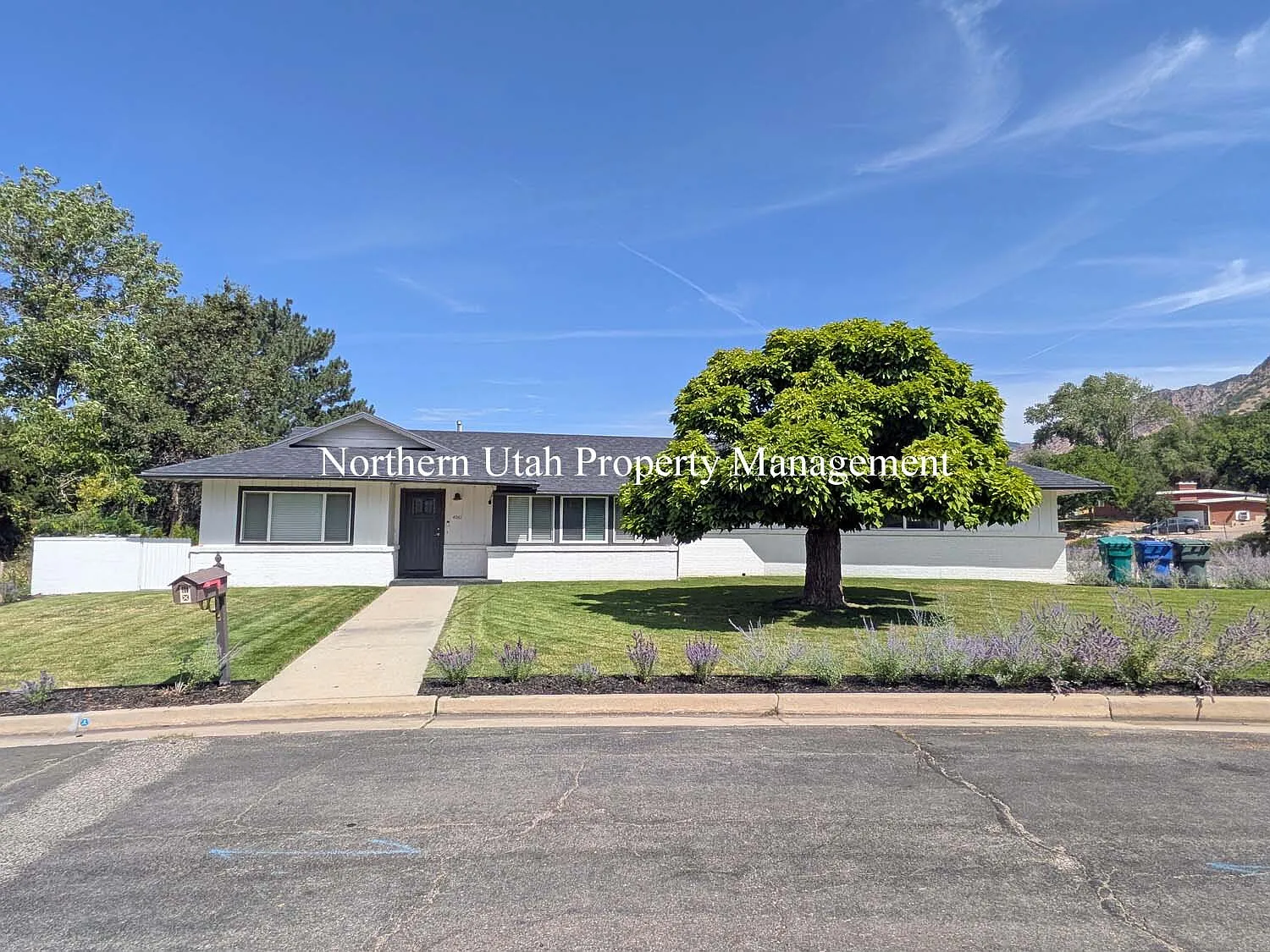 4 bed, 3.5 bath, 3161 sqft, $2,895 — Photo 1