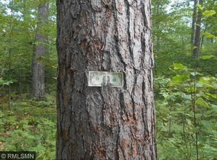 Xxx Doetch Ln, Gordon, WI 54838