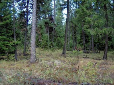 2673 Clark Lake Rd, Addy, WA, 99101