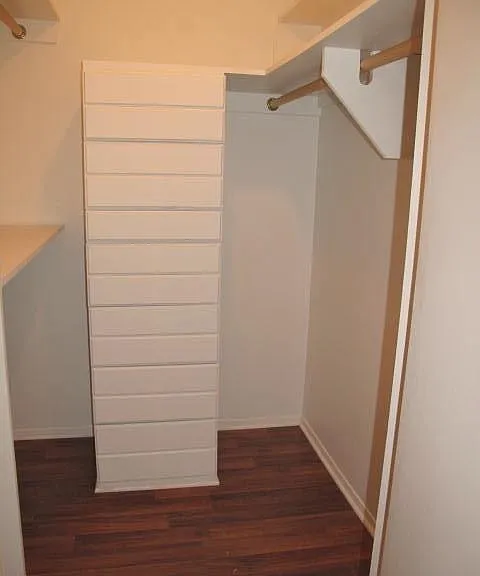 Master closet with built in