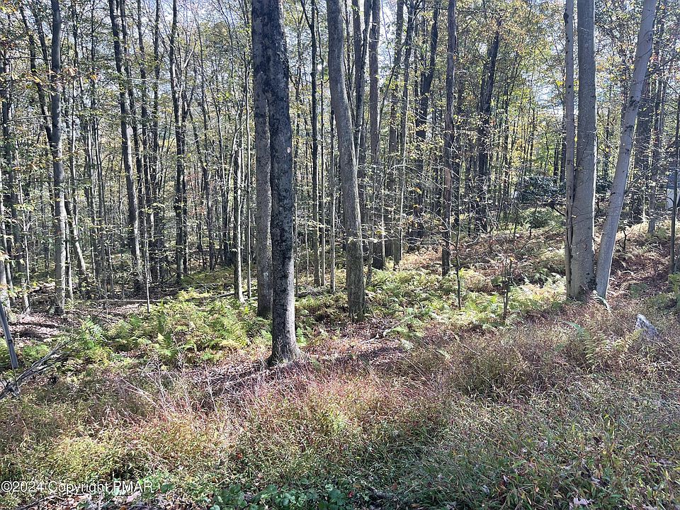 2nd image of Mountain Ash Ln