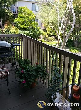 3rd image of 3238 Shelter Creek Ln