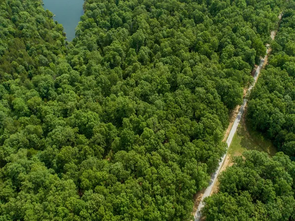 000 Airline Drive Lot #42, Protem, MO 65733