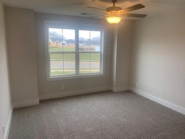 900 Frog Gip Pond Ct — Photo 22