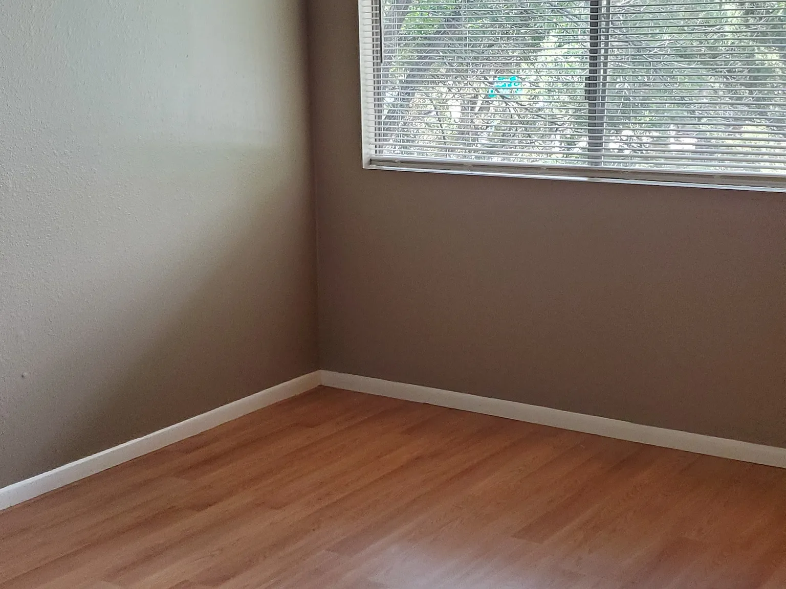 3 bed, 1600 sqft, $2,775 — Photo 4