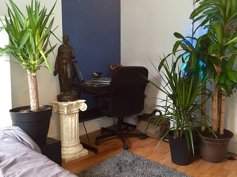 1 S Whitney St #2 — Photo 8