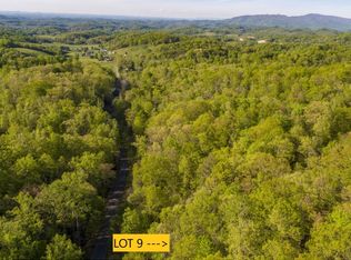 LOT 9 Pfeiffer Ridge Rd, Johnson City, TN 37601