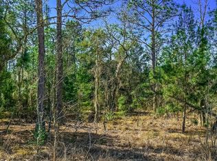 515 INTERLACHEN Boulevard, Interlachen, FL 32148