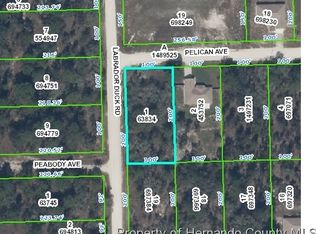 12023 Labrador Duck Rd, Weeki Wachee, FL 34614