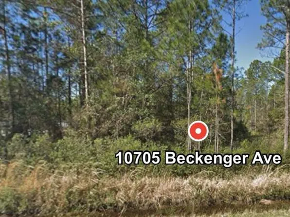 10705 Beckenger Ave, Hastings, FL 32145