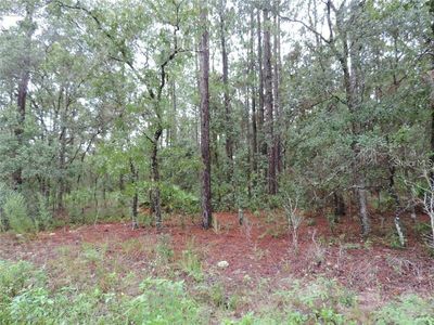 SW 135th Terrace Rd LOT 6-S, Dunnellon, FL, 34432
