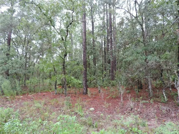 SW 135th Terrace Rd Lot 6-S, Dunnellon, FL 34432