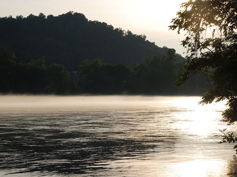 View from the River Bank