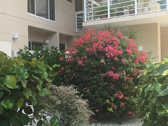 3rd image of 80450 Overseas Hwy APT 401