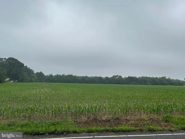 BLOCK-703 Big Oak Rd Lot 2, Bridgeton, NJ 08302