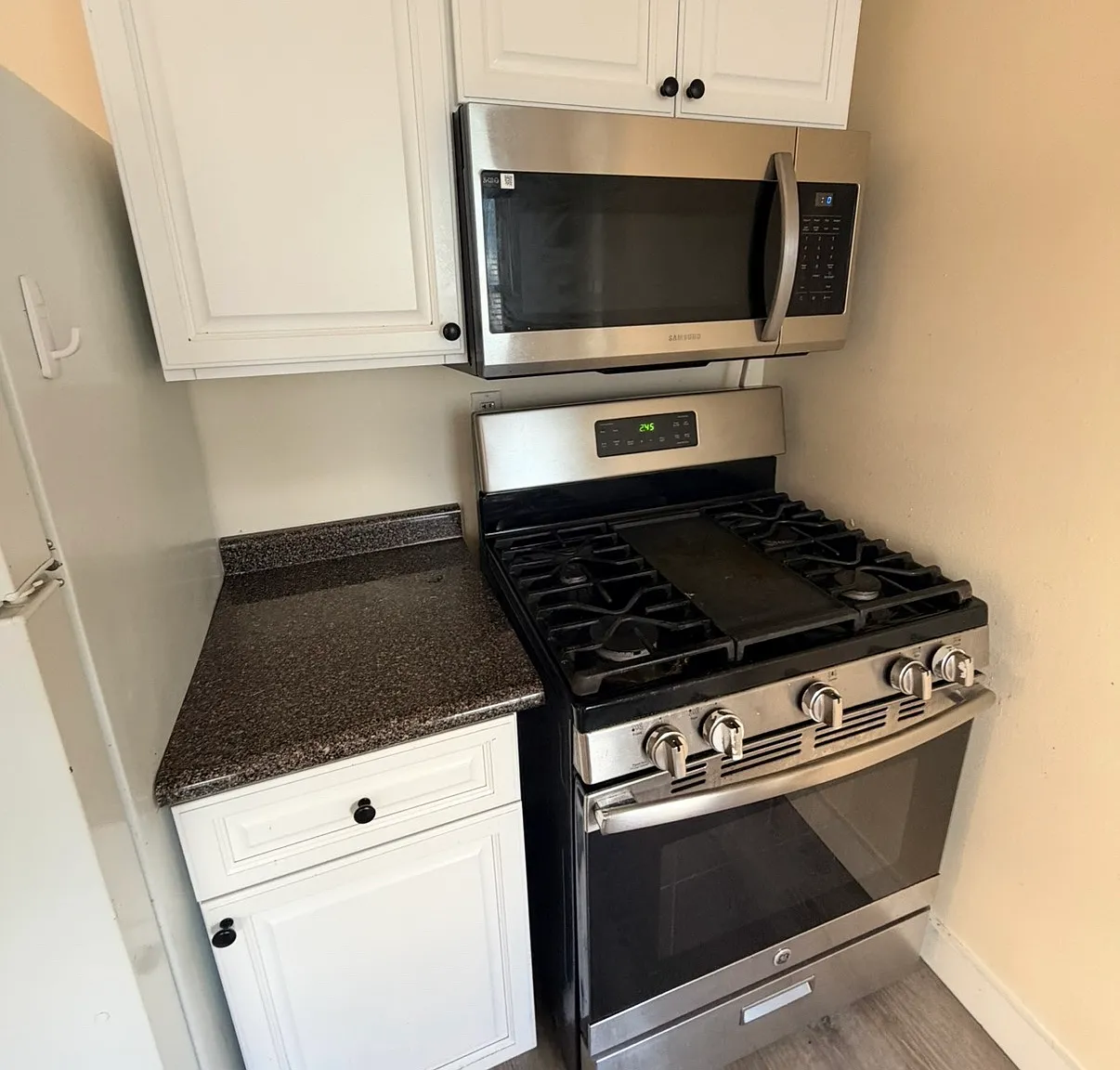 2 bed, 875 sqft, $2,800 — Photo 2