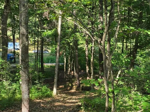 0 W Wilmas Way, Baldwin, MI 49304