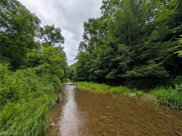 36 County Rd, Bloomingdale, OH 43910