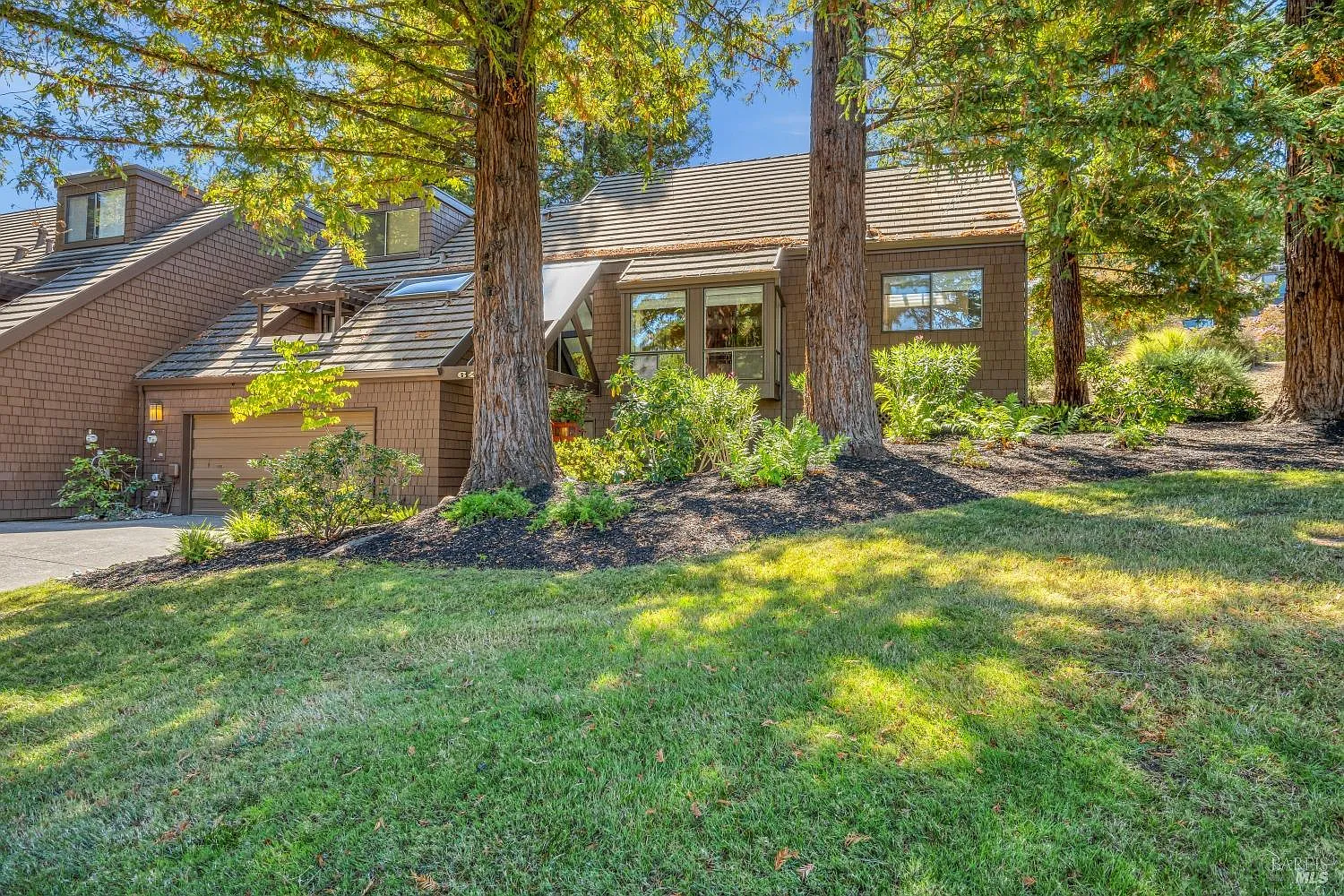 6492 Timber Springs Drive photo 1