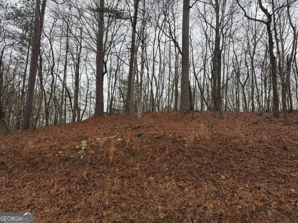 452 Joliet Dr, Ellijay, GA 30540