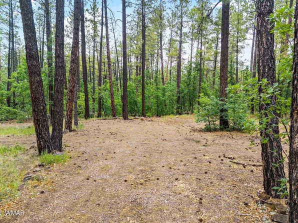 2094 Brown Bear Loop, Pinetop, AZ 85935