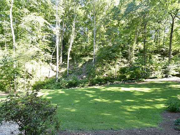 Large Level Back Yard