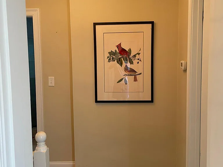 5 Connolly Pl — Photo 26