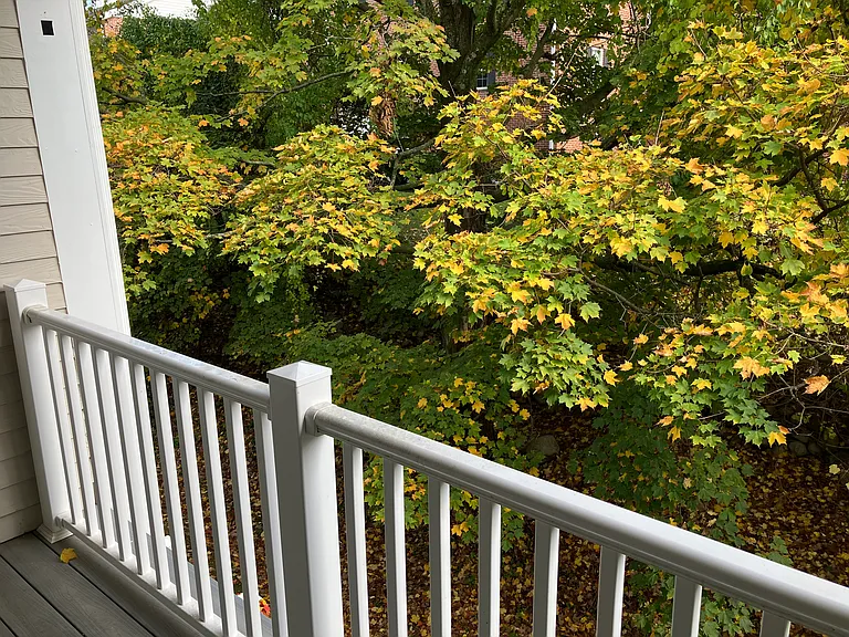 36 Cambridge Rd #23 — Photo 12