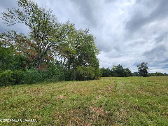 5th image of 11.09 Bub Jamison Rd