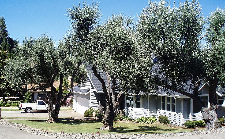 South west view