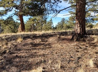 605 Spring Valley Ln, Florissant, CO 80816