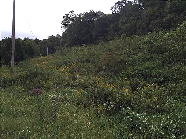 2nd image of 0 Bee Spring Rd #S/d