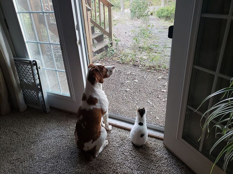 Master Downstairs French Drs