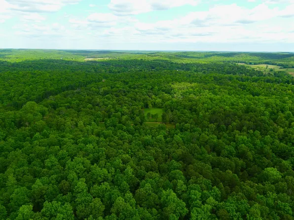 Gatewood Mo, Gatewood, MO 63942