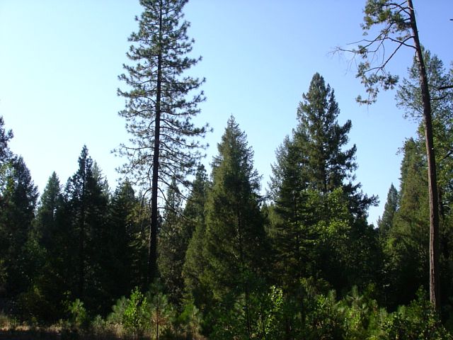 1st image of Sand Creek Dr