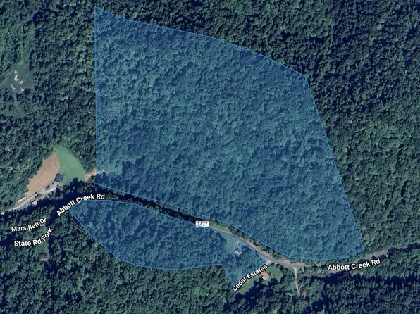 0 Abbott Creek Rd, Prestonsburg, KY 41653
