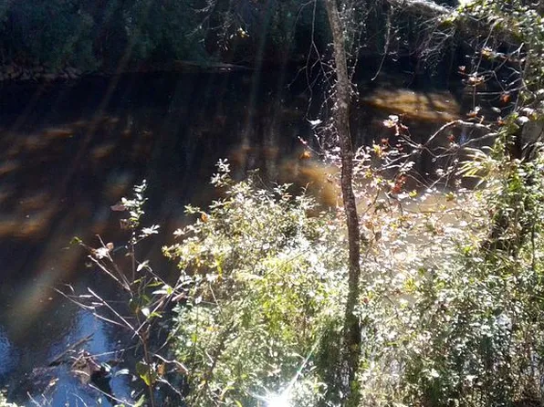 8981 Us Highway 231, Midland City, AL 36350