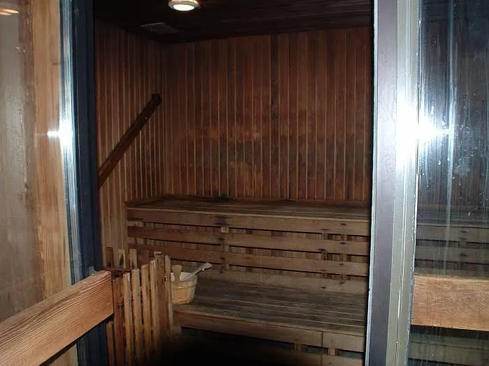 Sauna1