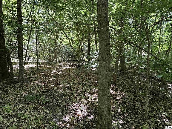 2nd image of 0 Wheeler Rd