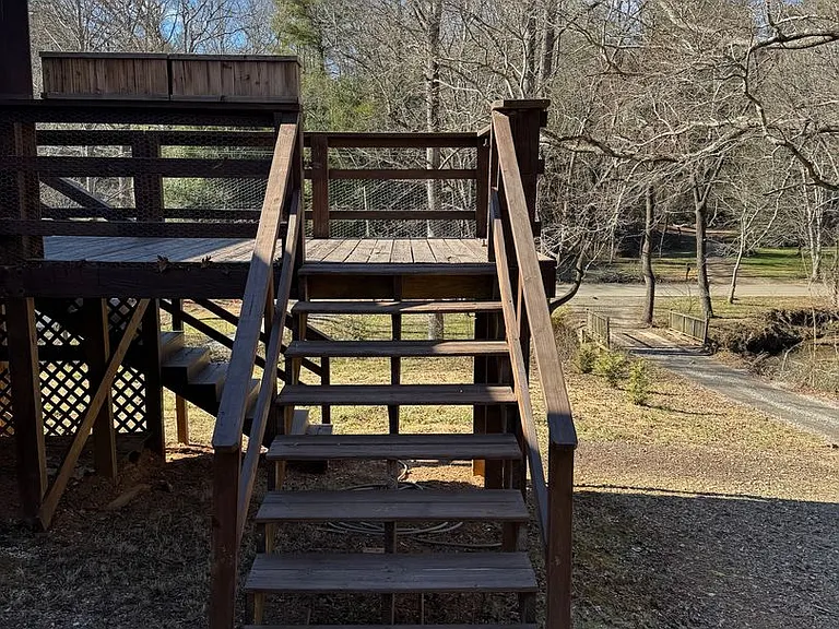 117 Lower Grassy Branch Rd — Photo 18