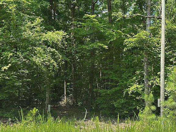 3rd image of Lot 17 Lakeshore Estates Drive