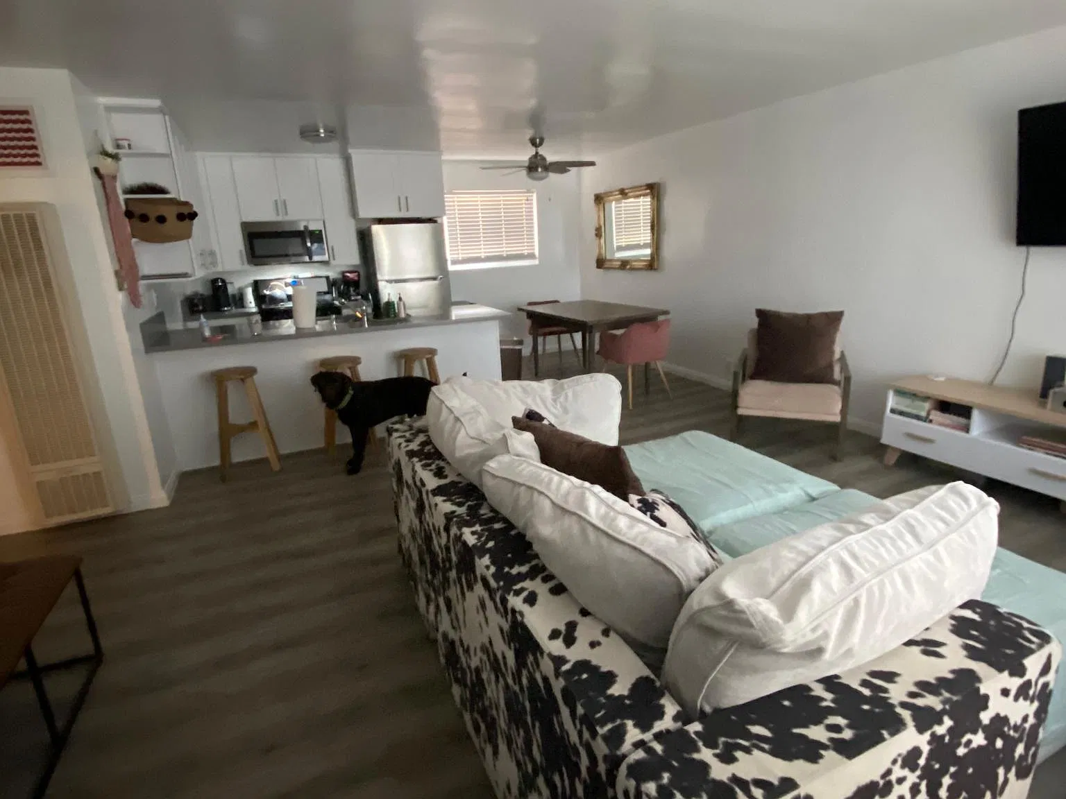 2 bed, 1000 sqft, $3,895 — Photo 2
