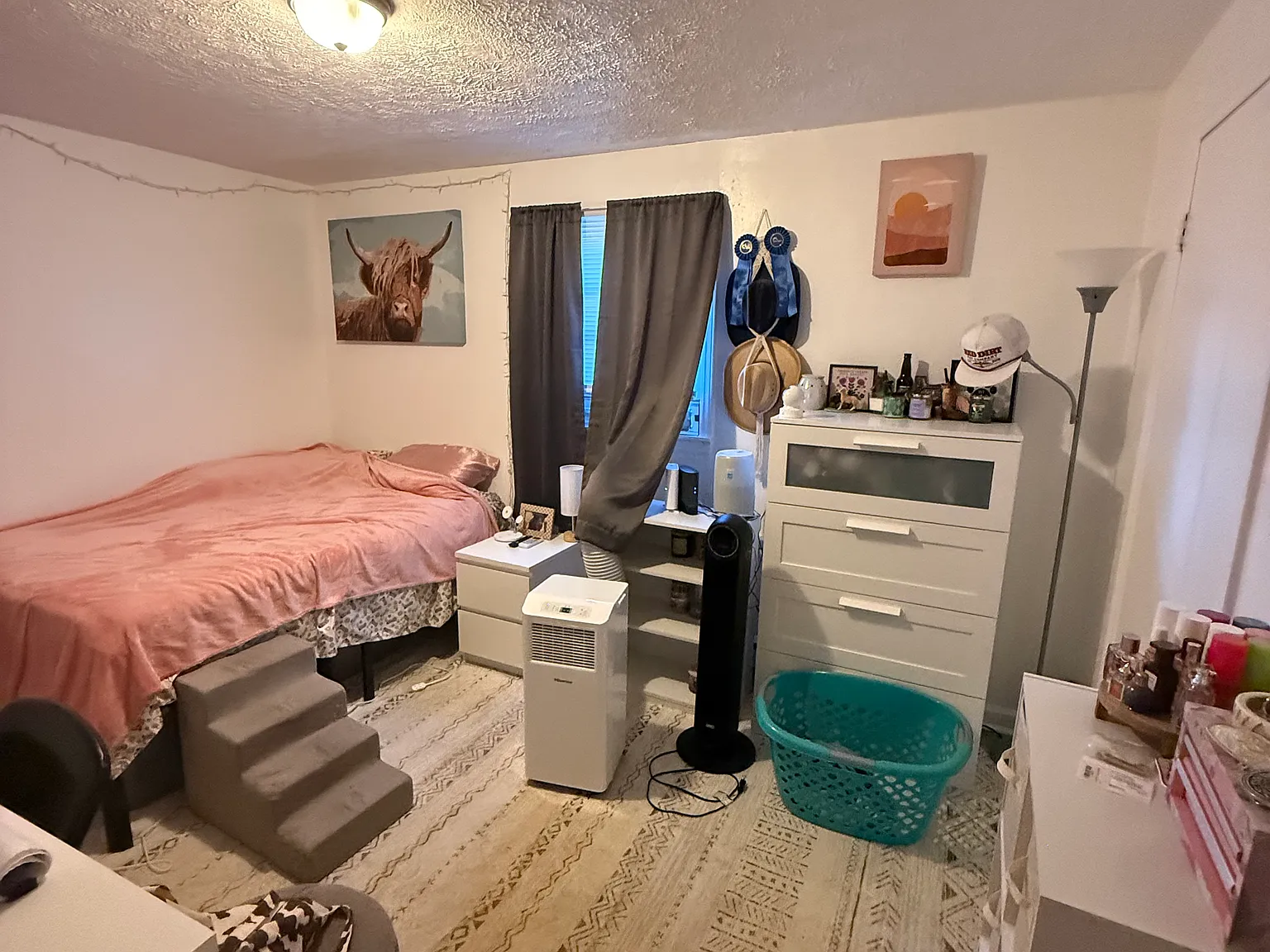 1 bed, $750 — Photo 2