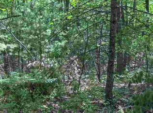 Xxx Eldorado Ln, Roscommon, MI 48653