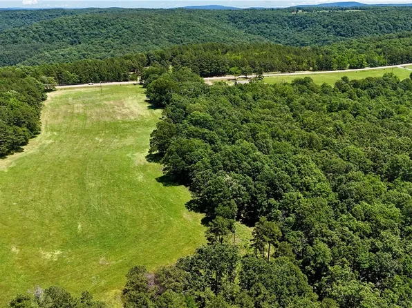 25 Acres Hwy #21, Ozone, AR 72854
