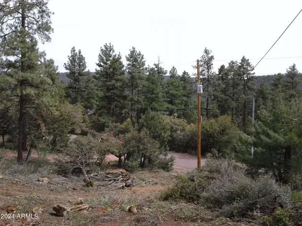 9284 W COYOTE Drive #55, Pine, AZ 85544