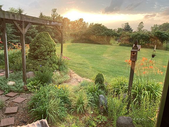 View out your back windows 