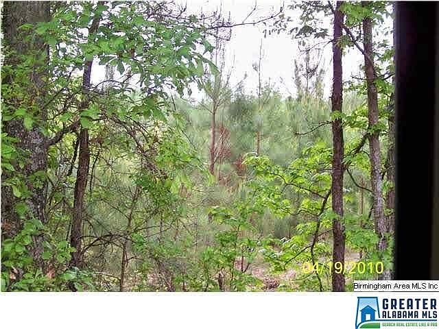 2nd image of Poplar Springs Rd