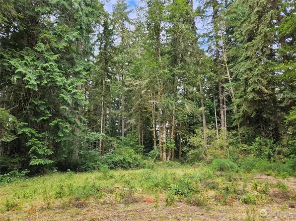 9320 124th Avenue, Anderson Island, WA 98303